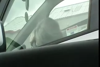 Gái xinh khỏa thân đi massage cho trai xxx nhat ban