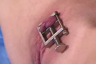 Một con gà với máy rung quyết định tự thư giãn. xxx tokyo nhật bản