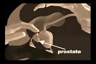 cổ họng xxx tokyo nhật bản gà tóc đỏ với niềm đam mê tuyệt vời.